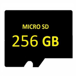 SD MICRO 256GB Surveillance entry level