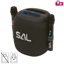 Zvučnik bežični sa mikrofonom,Boombox,Bluetooth,100W,IPX5
PARCUBE